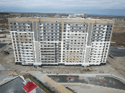 1238.png, фото 1