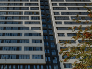 1240.png, фото 1